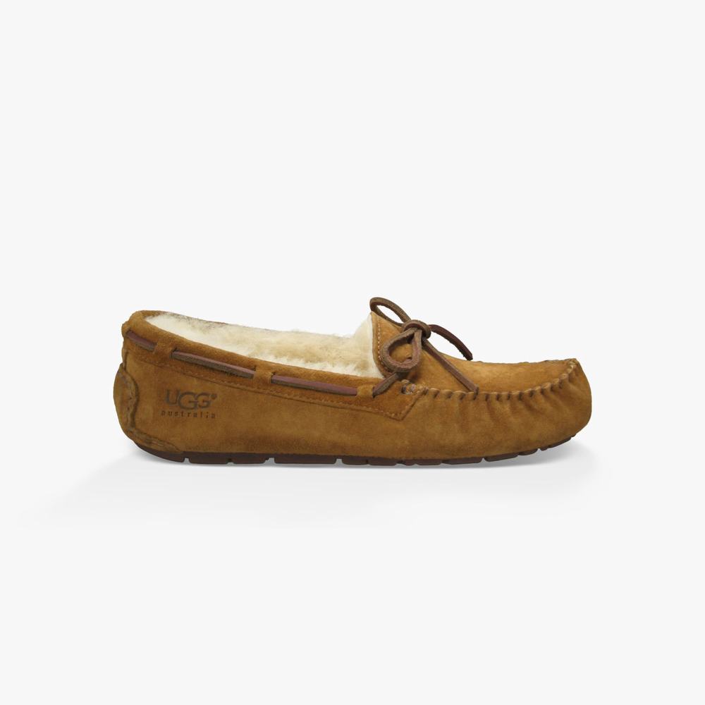 Mocassin UGG Dakota Slip-On Femme Marron Soldes 289YZGRL